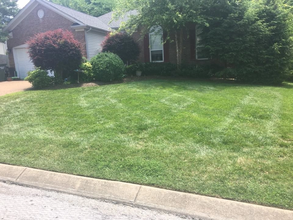 Clanton's Lawncare - Photo 9