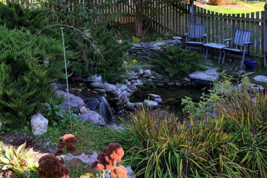 Natural Pond Landscape by Classic Stonescaping & Gardens - Photo 2