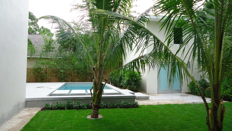 Bougainvillea Street Modern by BORDEN Landscape Design - Photo 11
