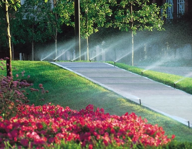 Landscape Install Metairie by Clean Cut Landscape Co - Photo 34