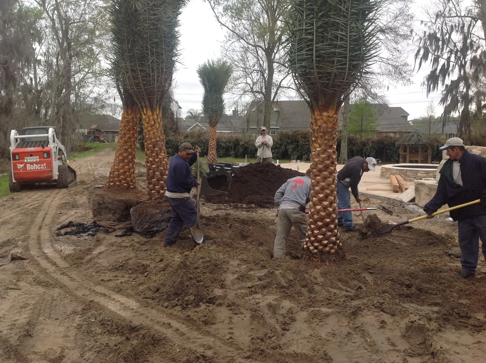 Landscape Install Metairie by Clean Cut Landscape Co - Photo 18