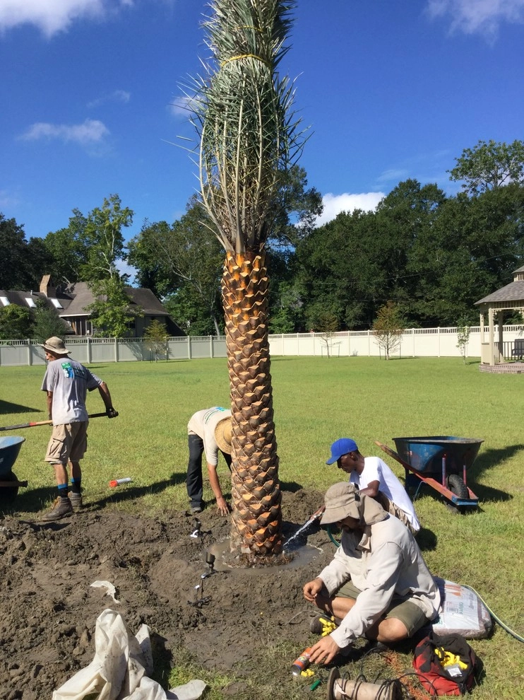 Landscape Install Metairie by Clean Cut Landscape Co - Photo 17
