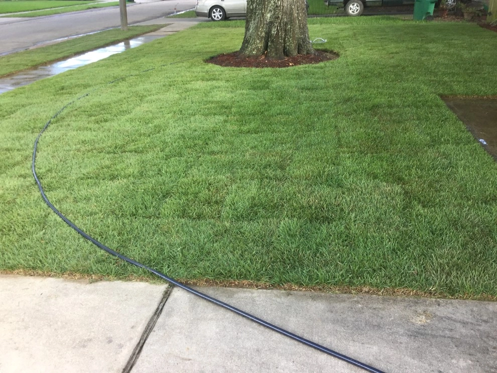 Zoysia sod installation and grading by Clean Cut Landscape Co - Photo 4