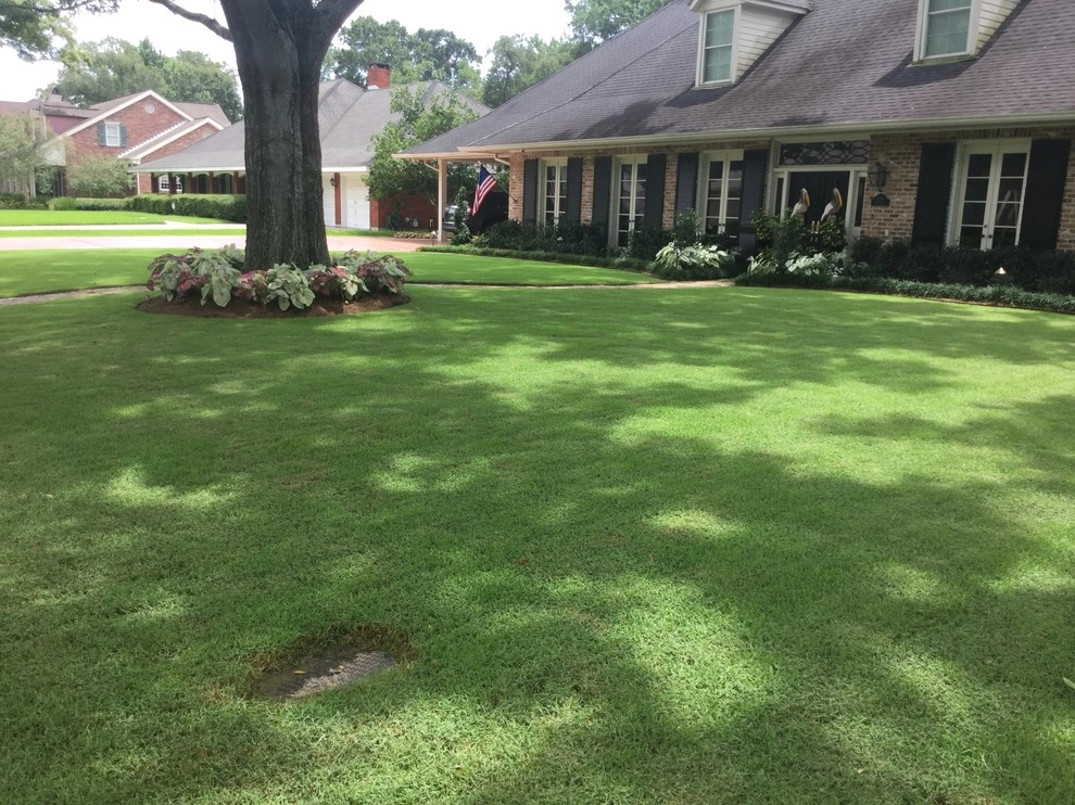 Zoysia sod installation and grading by Clean Cut Landscape Co - Photo 3