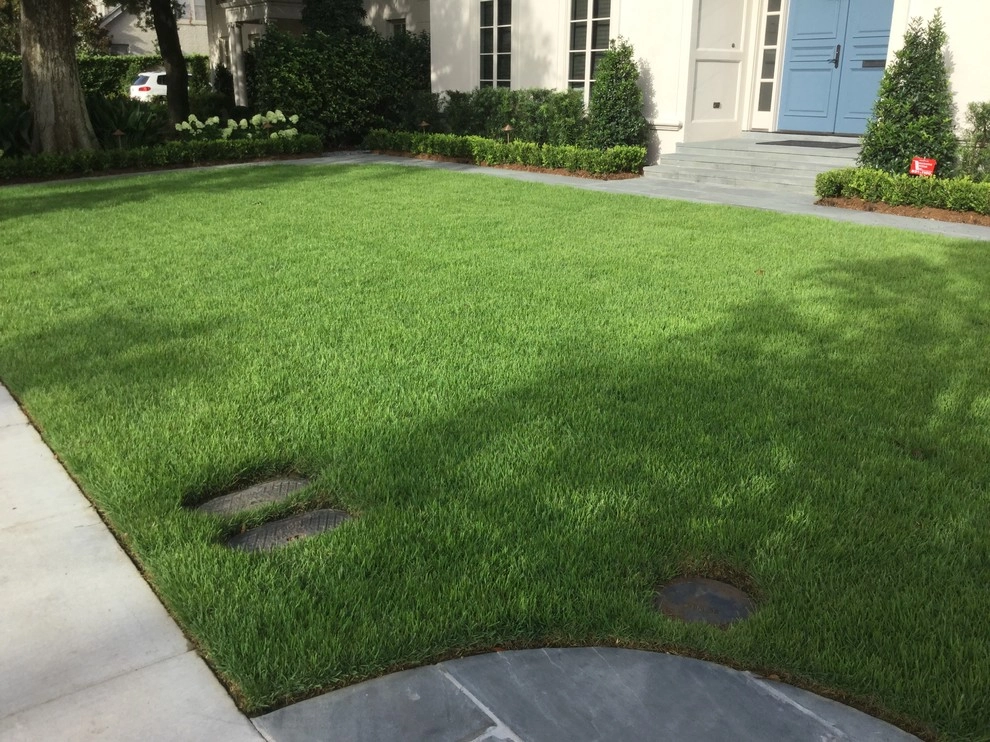 Zoysia sod installation and grading by Clean Cut Landscape Co - Photo 5