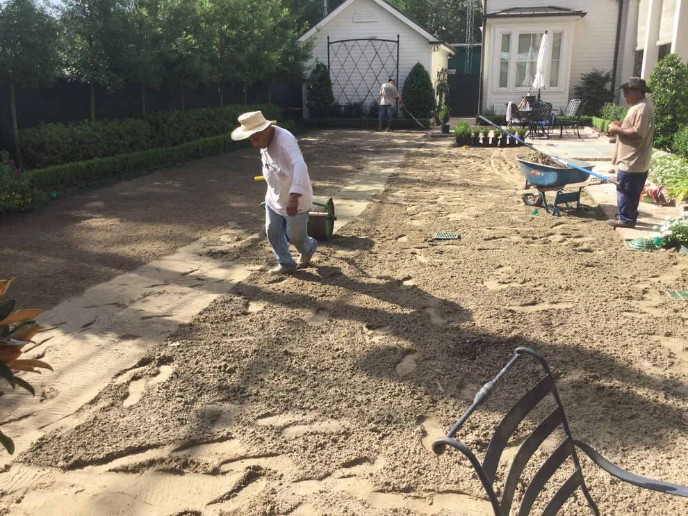 Zoysia sod installation and grading by Clean Cut Landscape Co - Photo 6