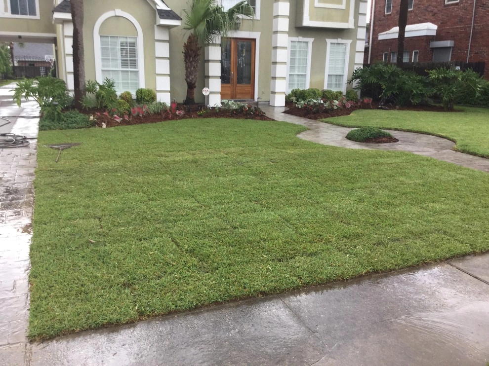 Zoysia sod installation and grading by Clean Cut Landscape Co - Photo 7