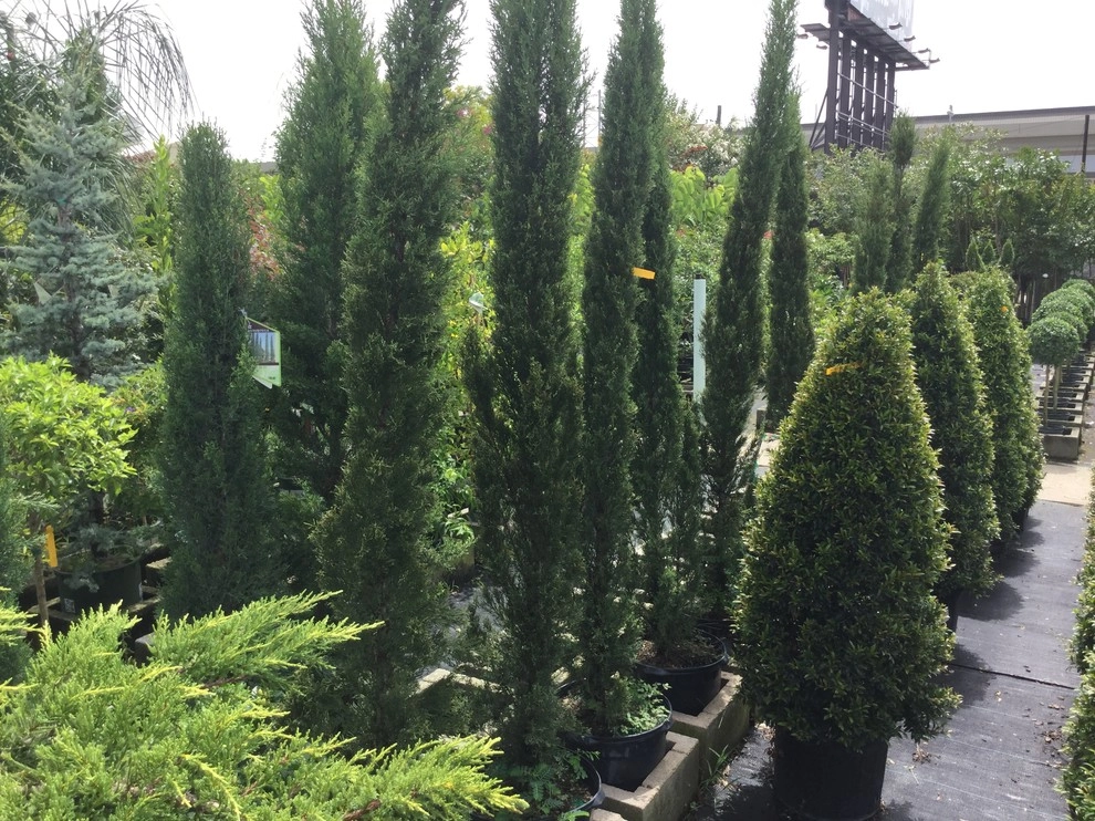 Clean Cut Landscape Co - Photo 12
