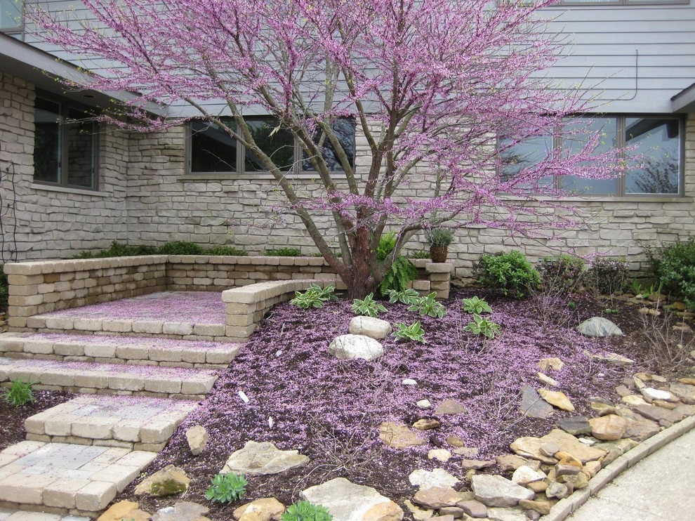 Clean Cut Lawn & Landscape - Photo 9