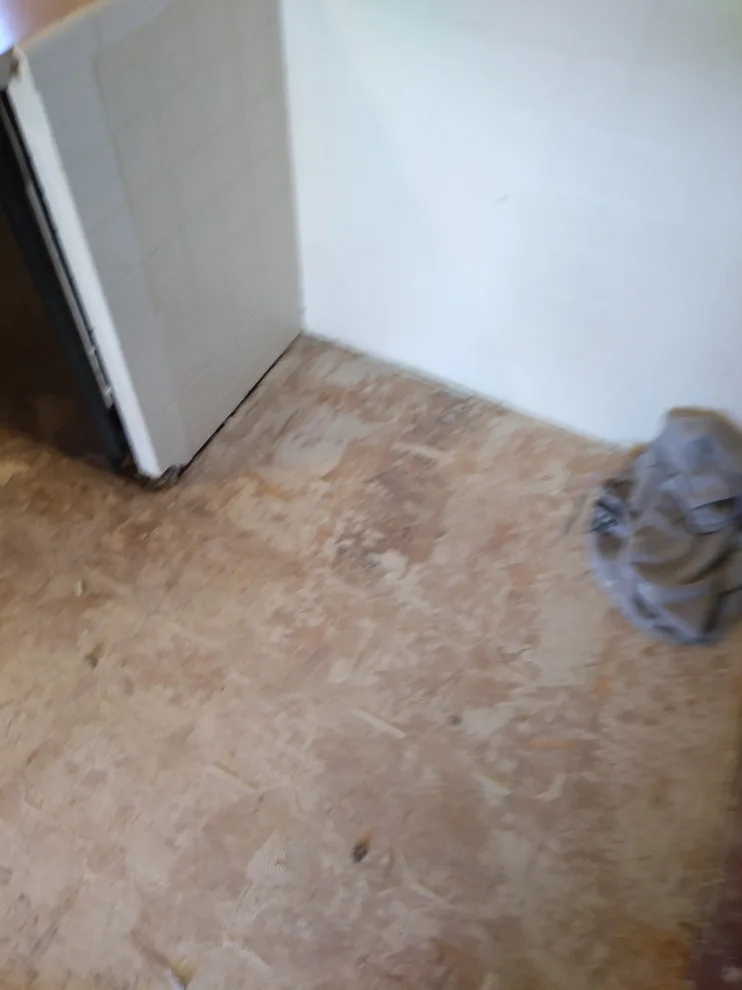 Kitchen Ceramic Tile Installation by Higgs Homes - Photo 6