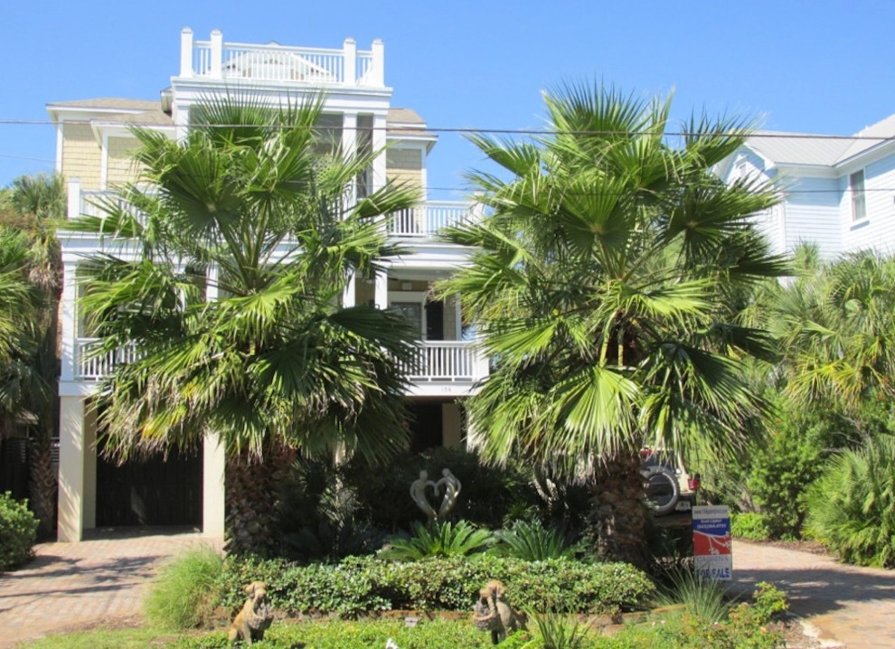 Palm Tree Gallery by Cold Hardy Palms And Bamboo - Photo 11
