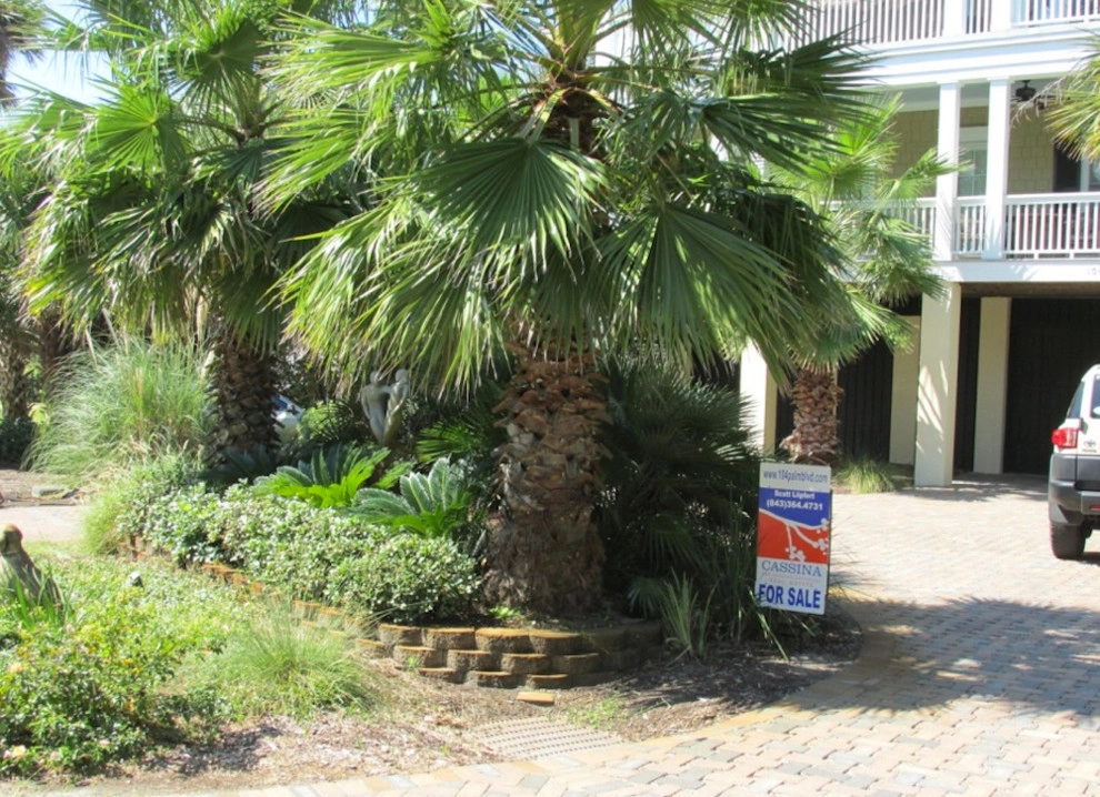 Cold Hardy Palms And Bamboo - Photo 10