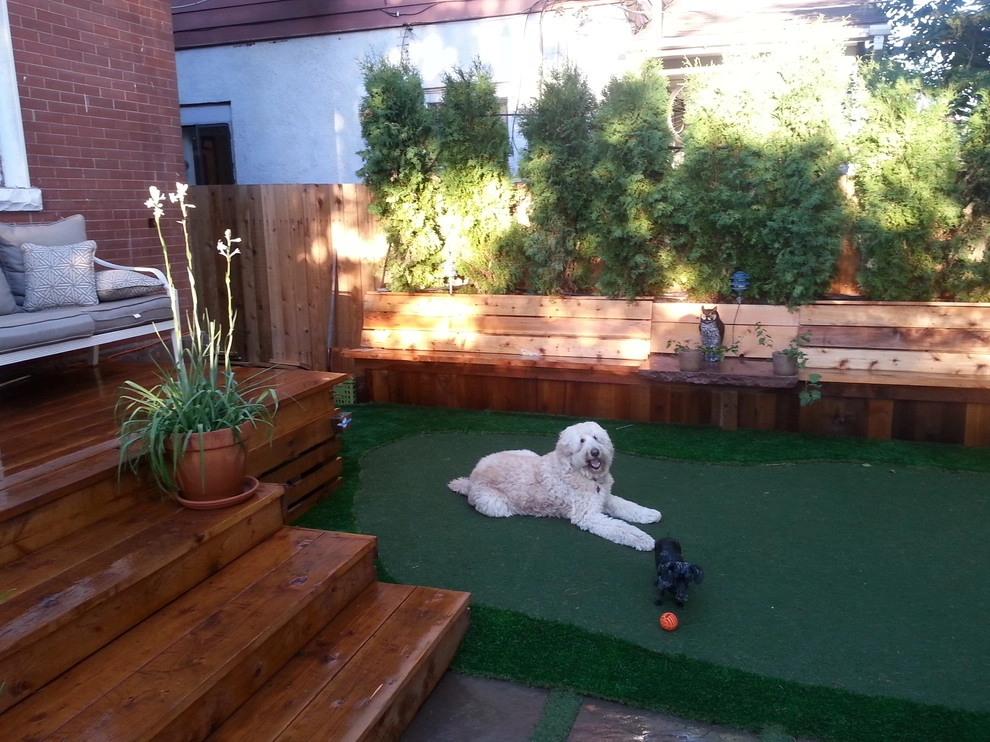 North Denver Small Backyard by Collins Turf Division - Photo 2