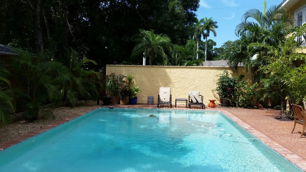 Hudson Bayou Mid-Century Renovation by BORDEN Landscape Design - Photo 2