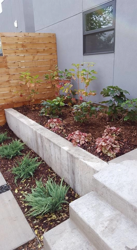Colorado Native Roots Landscaping LLC - Photo 4
