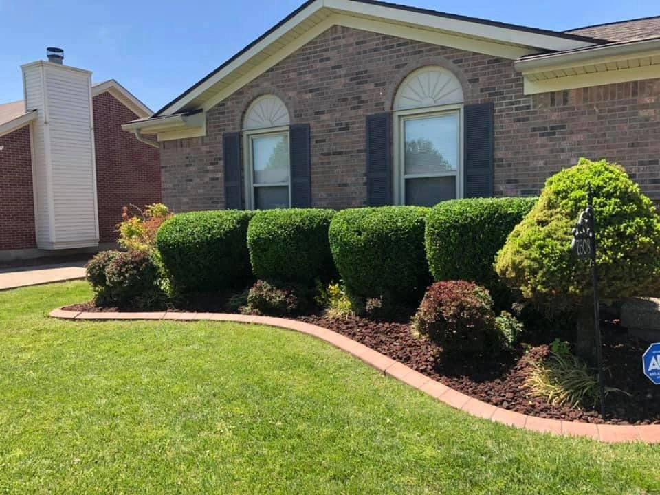 Landscaping by Harrinson's Landscaping - Photo 16