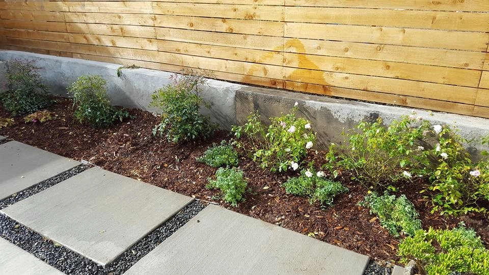 Colorado Native Roots Landscaping LLC - Photo 9