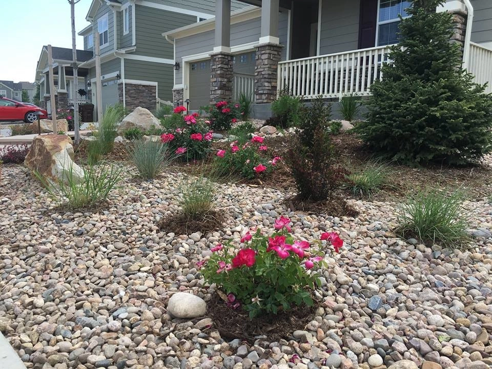 Watching a Xeriscape Grow by Colorado Vista Landscape Design, Inc. - Photo 7