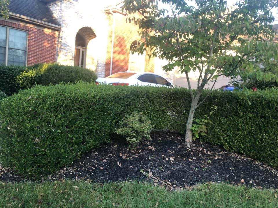 Harrinson's Landscaping - Photo 2