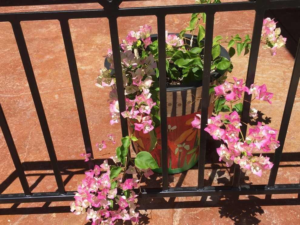 A Lovely Courtyard by Colorado Vista Landscape Design, Inc. - Photo 13