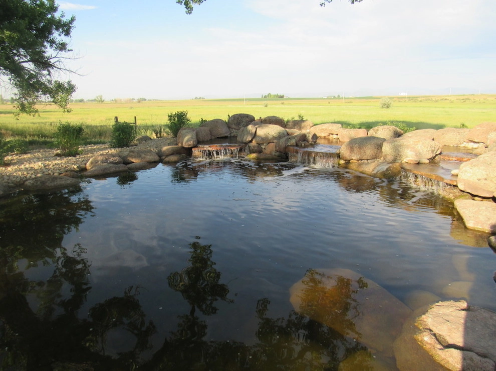 Natural Pond - Northeast Fort Collins by Colorado Vista Landscape Design, Inc. - Photo 3