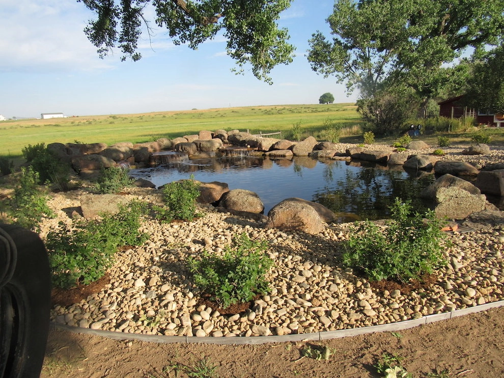 Natural Pond - Northeast Fort Collins by Colorado Vista Landscape Design, Inc. - Photo 4