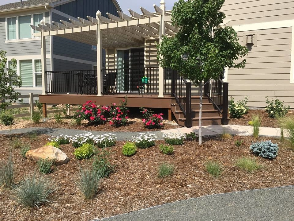Watching a Xeriscape Grow by Colorado Vista Landscape Design, Inc. - Photo 8