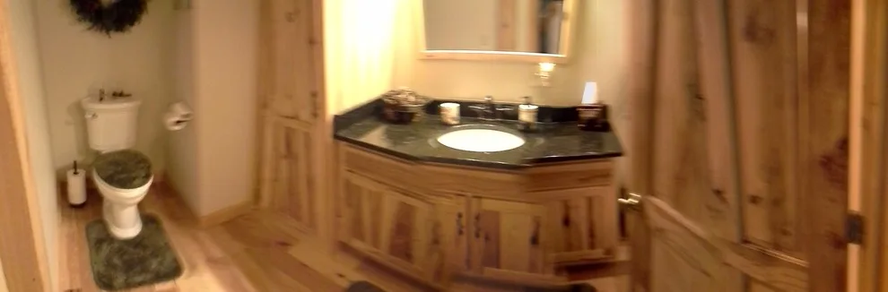 Bathroom Expansion for Guests by Carbon Construction Company - Photo 2