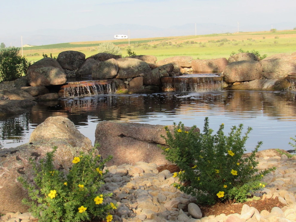 Natural Pond - Northeast Fort Collins by Colorado Vista Landscape Design, Inc. - Photo 2