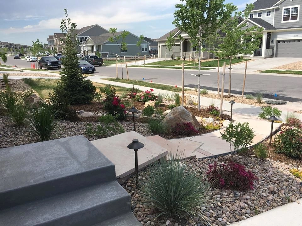 Watching a Xeriscape Grow by Colorado Vista Landscape Design, Inc. - Photo 5