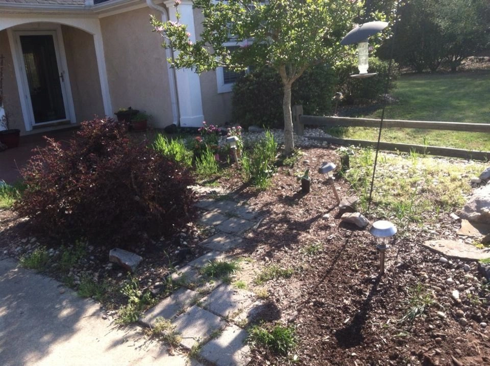 Colton Boy Lawn & Landscaping - Photo 8