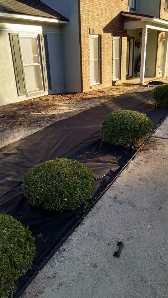 Colton Boy Lawn & Landscaping - Photo 4
