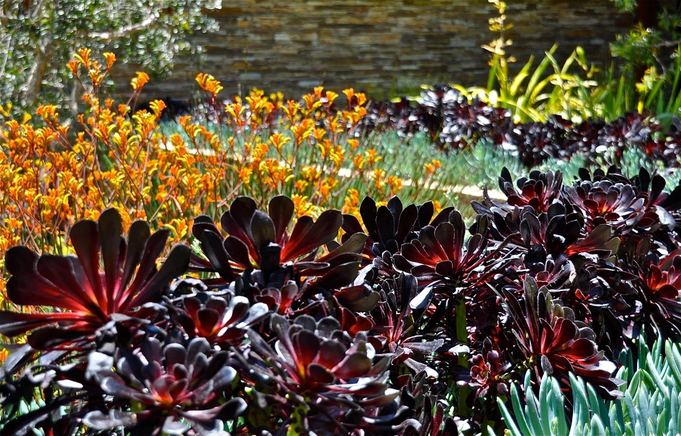 Our Favorites by Columbine Landscape, Inc. - Photo 8