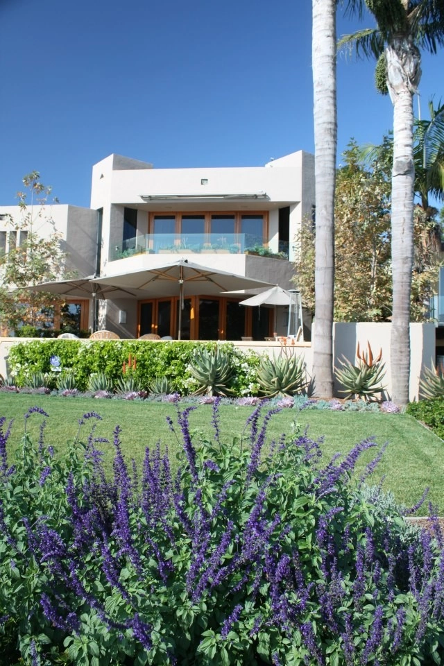 Point Loma Bayside by Columbine Landscape, Inc. - Photo 8