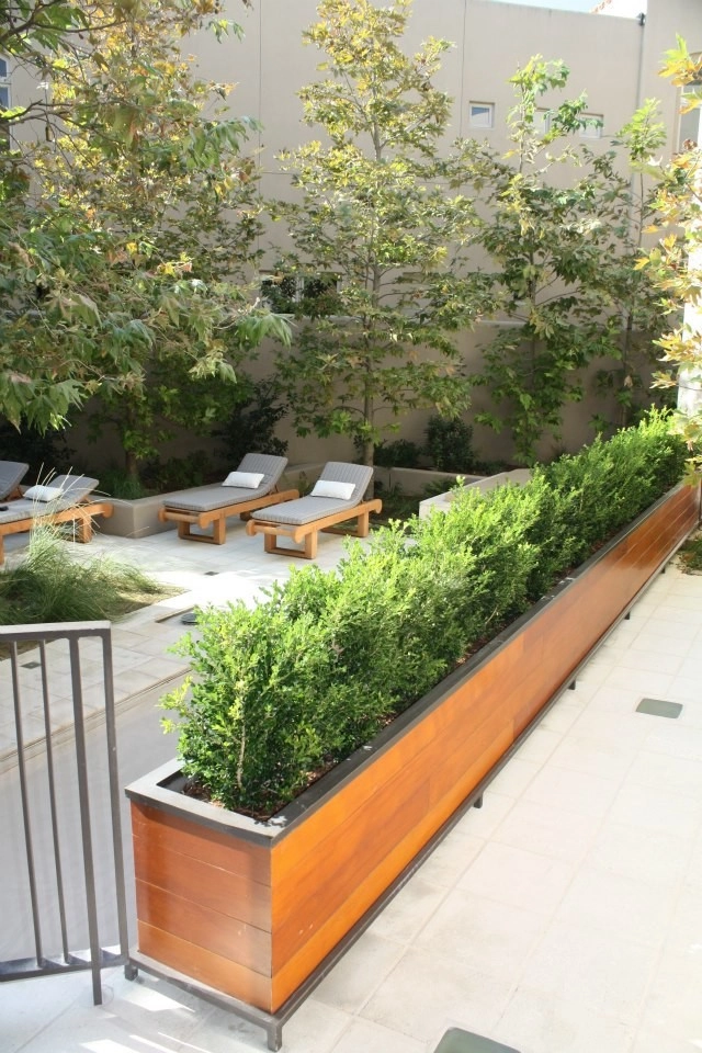 Point Loma Bayside by Columbine Landscape, Inc. - Photo 6