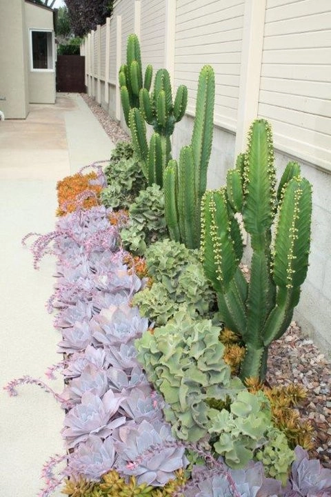 Our Favorites by Columbine Landscape, Inc. - Photo 3