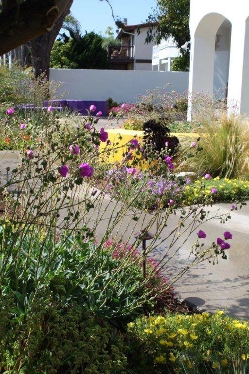 Our Favorites by Columbine Landscape, Inc. - Photo 4