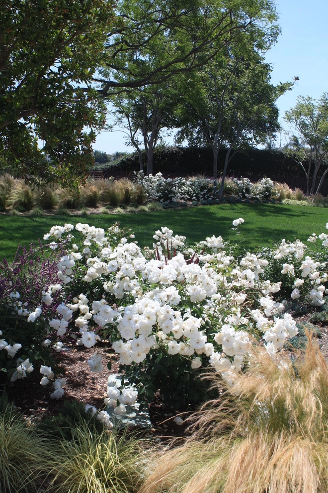 Del Mar Landscape Renovation by Columbine Landscape, Inc. - Photo 2