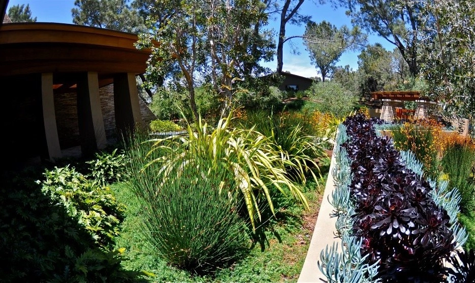Our Favorites by Columbine Landscape, Inc. - Photo 11
