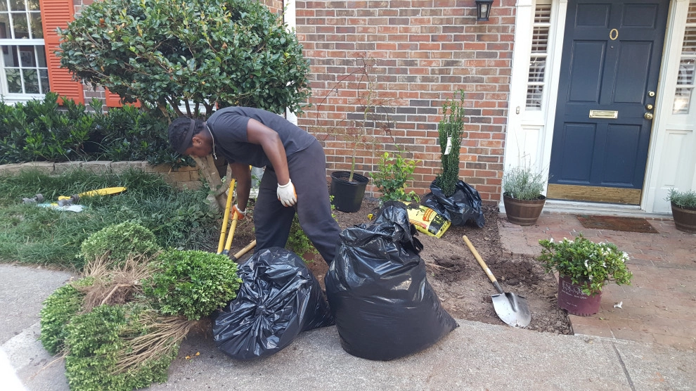 Flowering Shrubs, Japanese Maple and Black Mulch by Community Development And Investment LLC - Photo 6