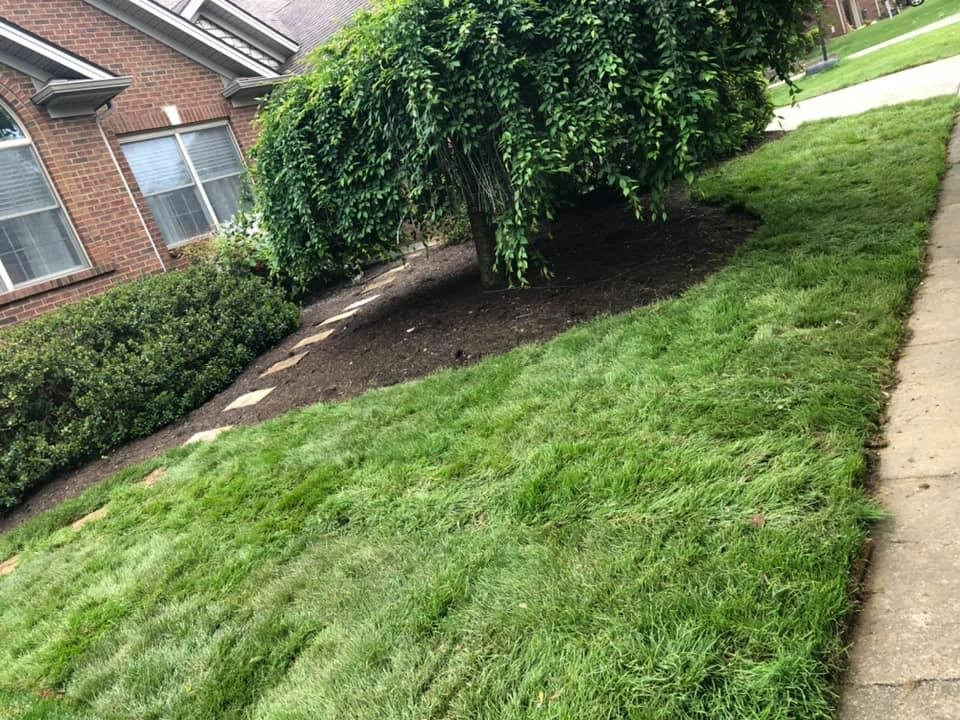 Landscaping by Harrinson's Landscaping - Photo 17