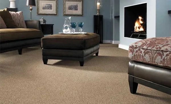 Shaw Premium Carpet Showroom by Alfred's Carpet & Decorating - Photo 4
