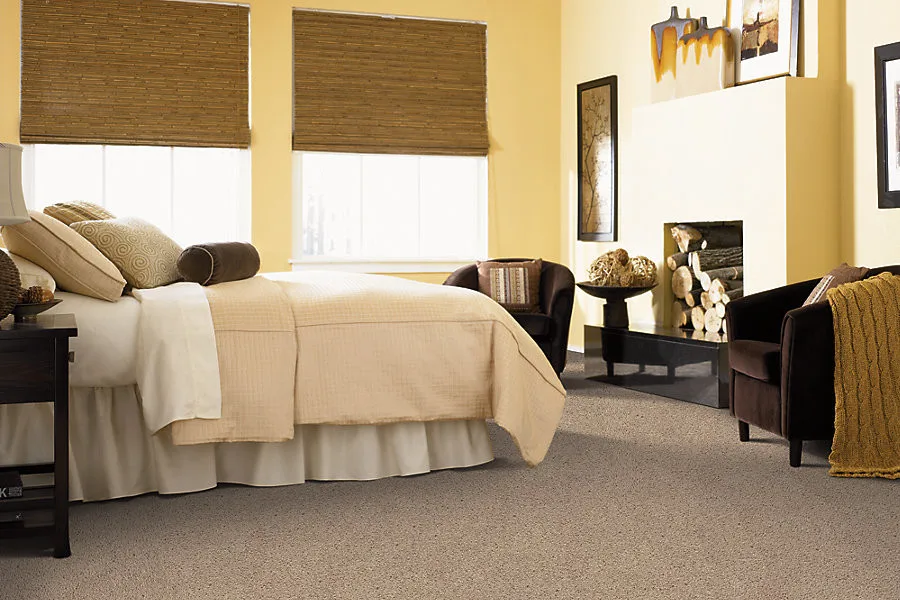 IntelligentFiber by Mohawk by Brewer Carpet One - Photo 2