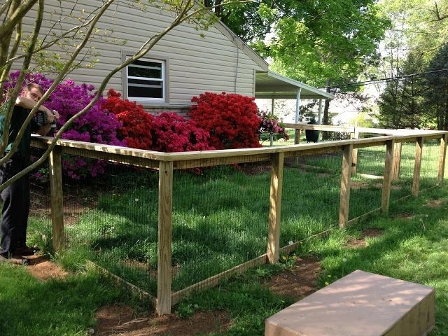 Connelly Lawn And Garden, Inc. - Photo 3