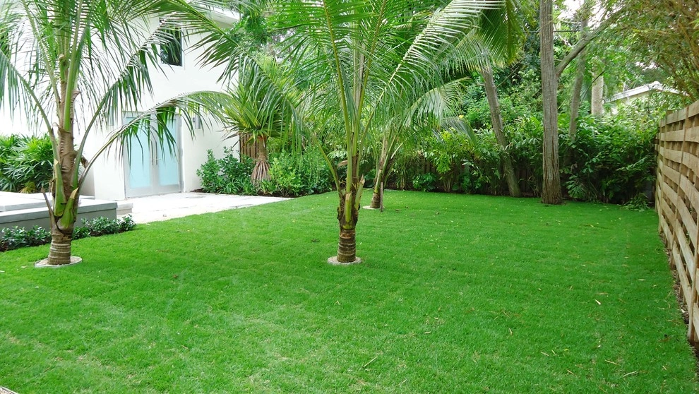 Bougainvillea Street Modern by BORDEN Landscape Design - Photo 8