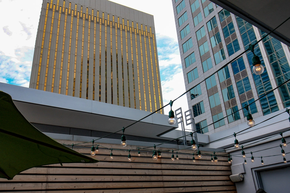 HIGH RISE PATIO GARDEN by Coogan's Design Build - Photo 7