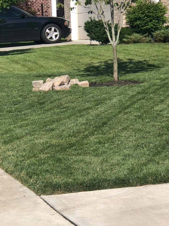 Landscaping by Harrinson's Landscaping - Photo 20