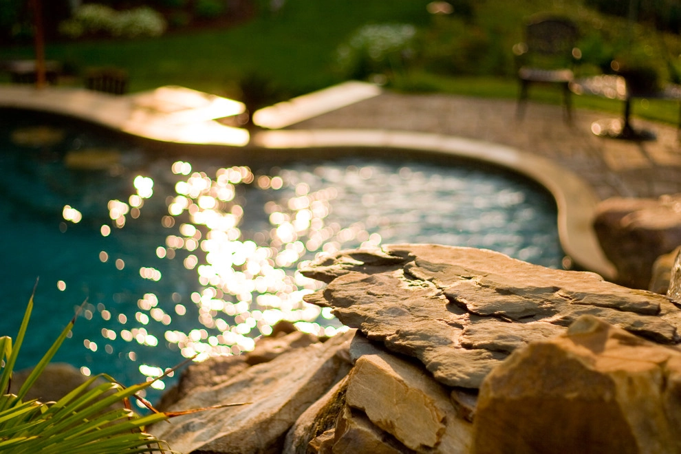 BALLANTYNE TROPICAL OASIS by Coogan's Design Build - Photo 2