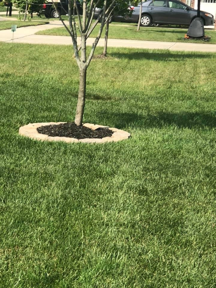 Landscaping by Harrinson's Landscaping - Photo 23