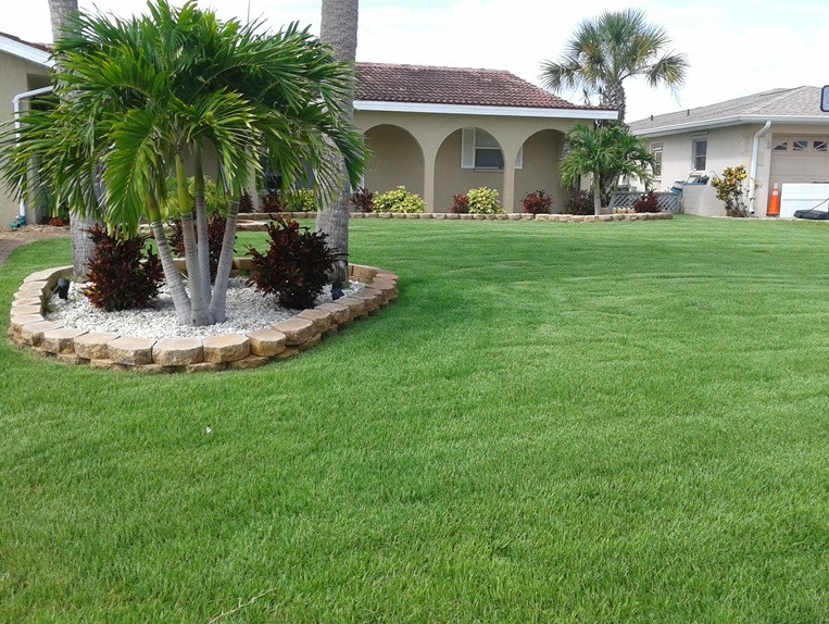 Celebration Bermudagrass by Council Growers Sod Farm - Photo 3